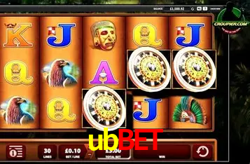 Descubra o Mundo do Cassino Online com ubbet